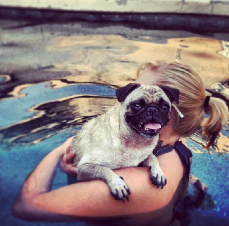 woman holding pug while standing in pool